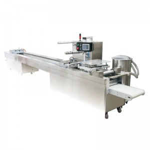 JPSE210 Blister Packing Machine